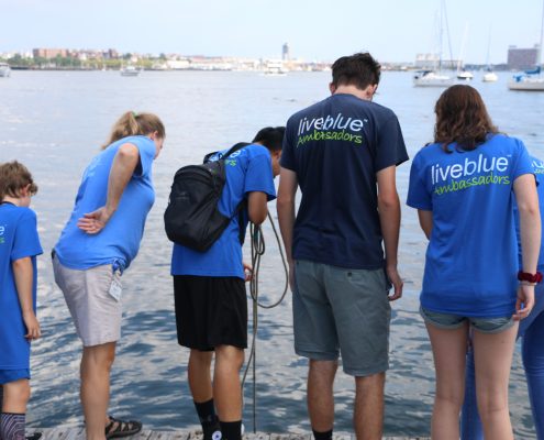 A group of citizen scientists perform bucket sampling on a dock in Boston Harbor.