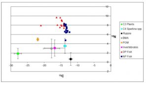 Chart showing stable isotopes