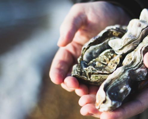 Hands holding an oyster