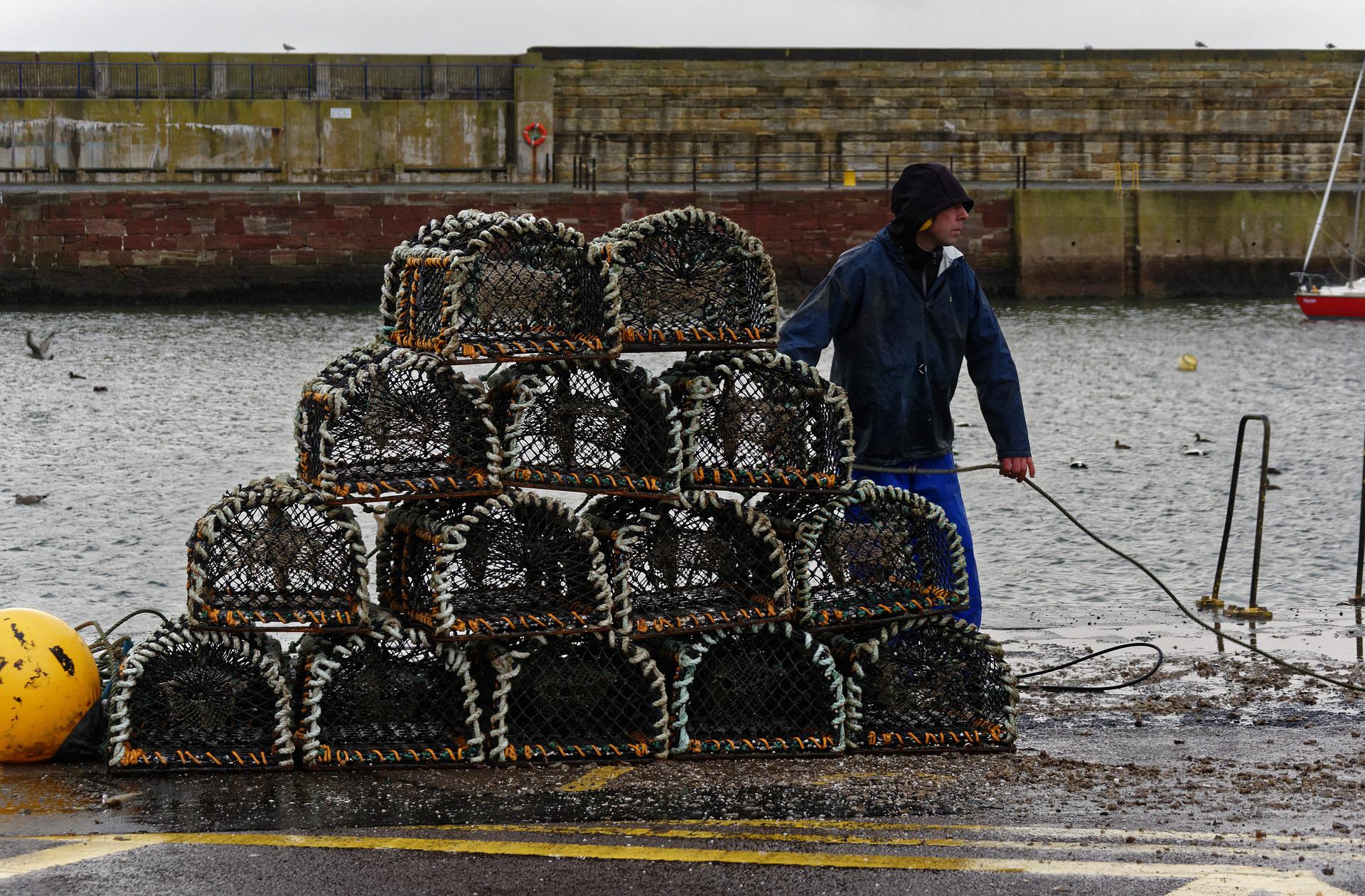 A man in a rain jacket holds a rope by a pyramid of stacked lobster traps.