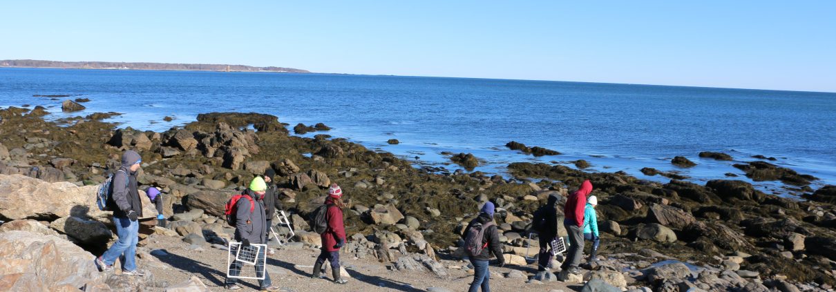 A small group of people walk along a rocky shore with research equipment