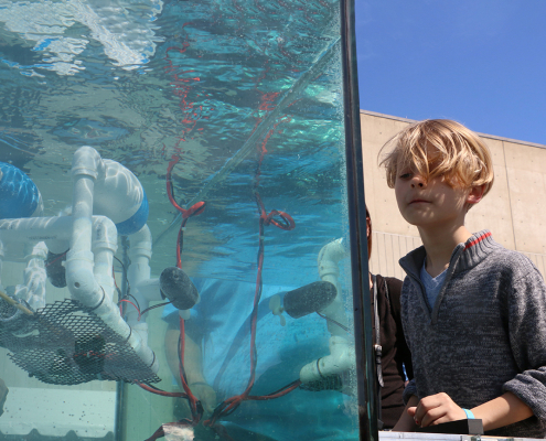 Young engineer navigating SeaPerch underwater robotic