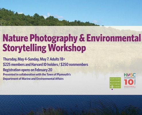 Nature Photography & Environmental Storytelling Workshop graphic