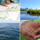 Four photographs showing students working at a table, pulling up a plankton tow, and holding a crab, and an image of the Charles River Floating Wetland