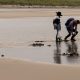 Two people shellfishing on a sandy shore