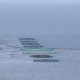 Aerial view of offshore aquaculture cages