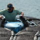 An aquaculture farmhand flips oyster bags from a kayak (Photo: John Freidah)