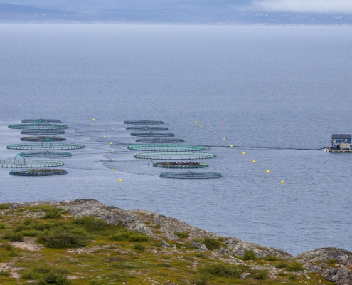 An ocean aquaculture site with circular fish pens in Norway. Image credit: Tapani Hellman