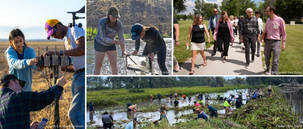 A collage of Sea Grant staff and people outside doing coastal resilience research, education, and outreach activies.