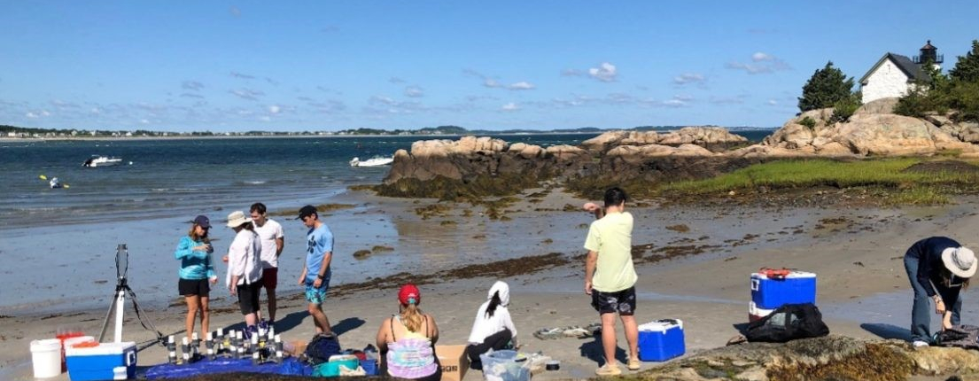 Field crew on a beach assembling equipment and waiting for divers to return with sediment cores. Photo credit: Heidi Nepf